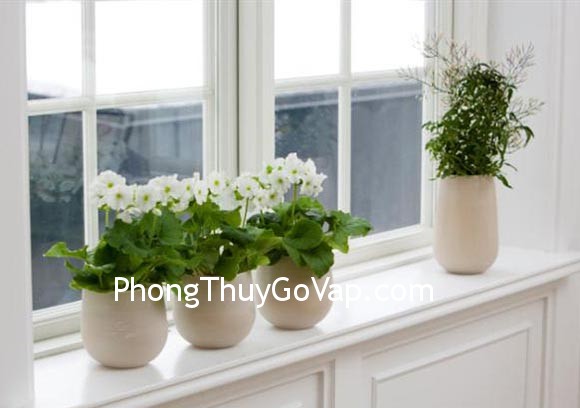 Ích lợi của sự kết hợp 4 và 1