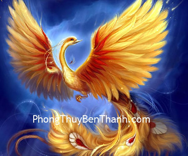 Đàn ông độc thân và biểu tượng chim phượng hoàng