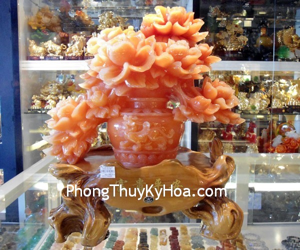 Sử dụng cây cảnh và hoa trong phong thủy