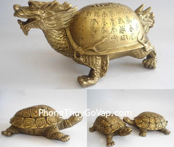 Nên đặt rùa ở hướng Bắc