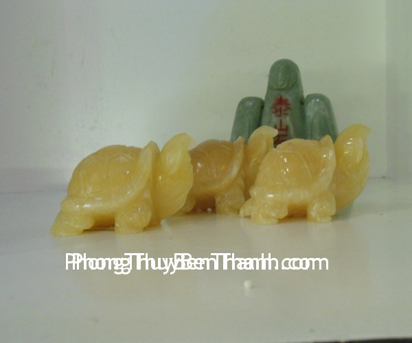Rùa là biểu tượng trường thọ tốt nhất
