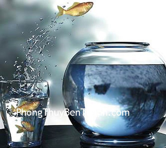 Cá trong nước kết hợp hai biểu tượng mạnh nhất về thịnh vượng