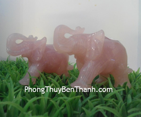 Một cặp voi tượng trưng cho thành công và may mắn về đường con cháu