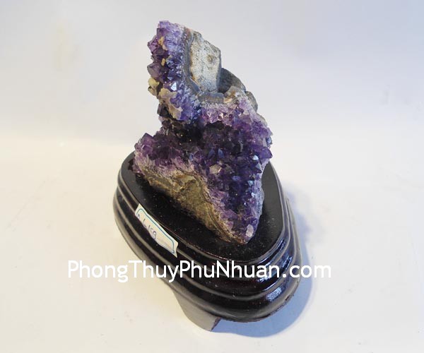 bong-thach-anh-tim-TA101-S1-1530-02 bong thach anh tim TA101 S1 1530 02 Biện pháp để tăng cường Đào hoa