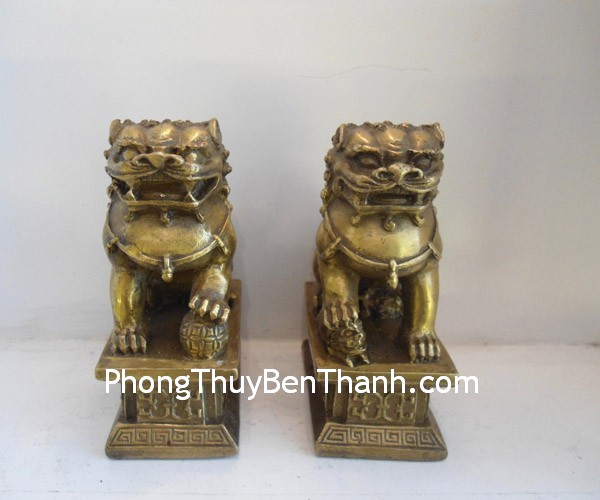 su-tu-dong-lon su tu dong lon Một cặp sư tử bảo vệ linh thiêng