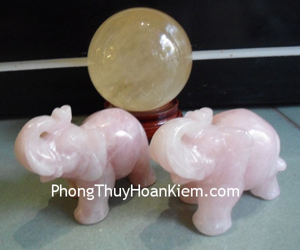 Voi hút được thủy tài