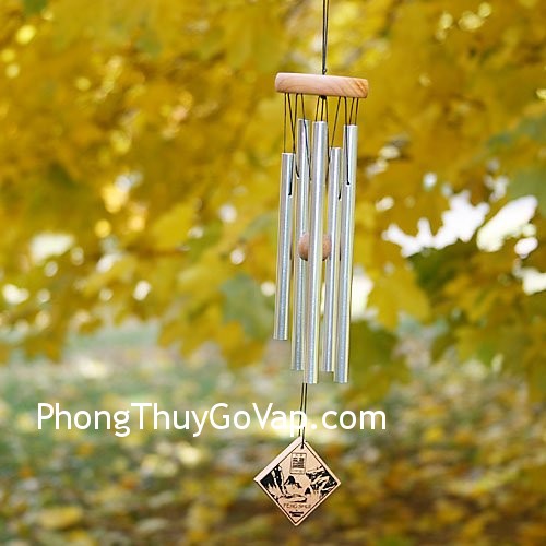 Vận dụng các triết lí của Kinh Dịch trong bài trí văn phòng –  Quẻ Tốn (P1)