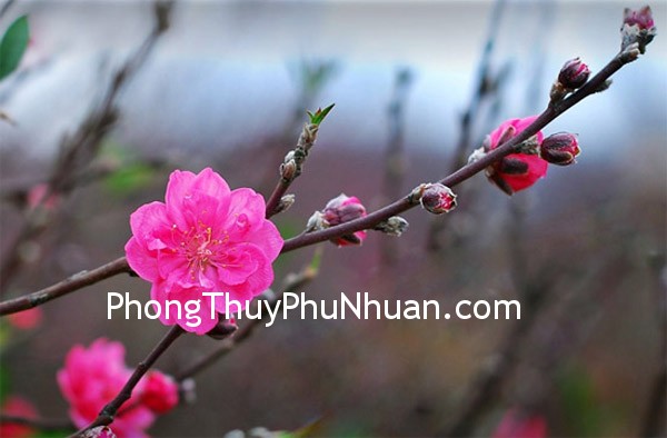 canh dao canh dao Khắc phục sự vô duyên của đối tượng (Phần 2)