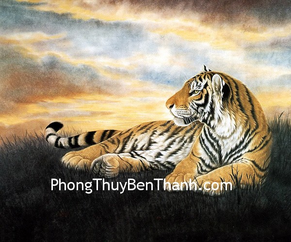 Tuổi Dần
