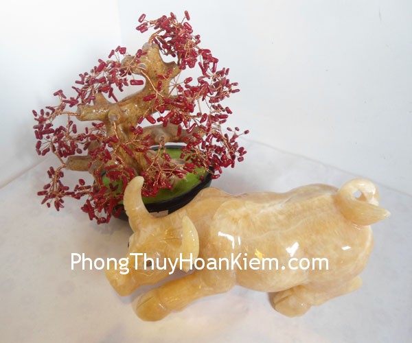 trau- da- hoang- long- DA062- 03 trau da hoang long DA062 03 Sự nghiệp của người tuổi Sửu