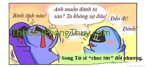 songtu-3311-1394615451
