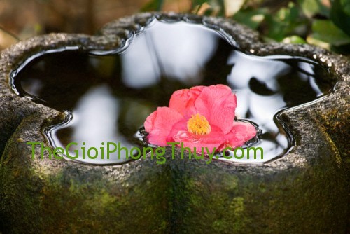 Bố trí nước hợp lý trong sân vườn