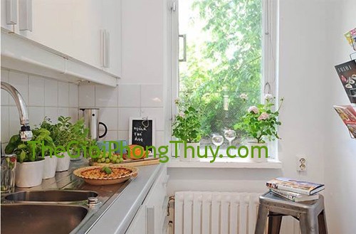 Đặt cây xanh hút khí độc cho nhà ở
