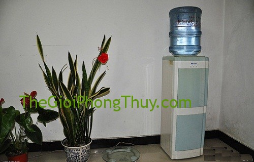 Những vị trí không nên đặt bình nước uống trong nhà