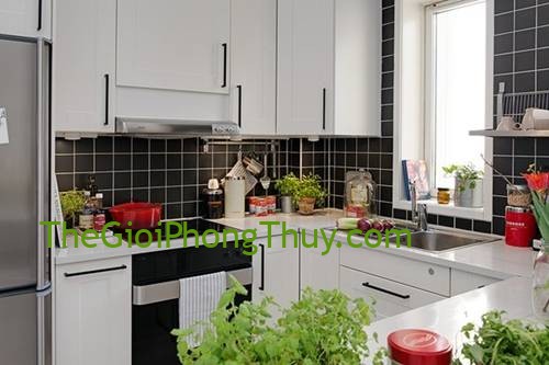 Nên chọn cây để trồng trong nhà bếp sao cho hợp lý để tăng vận may