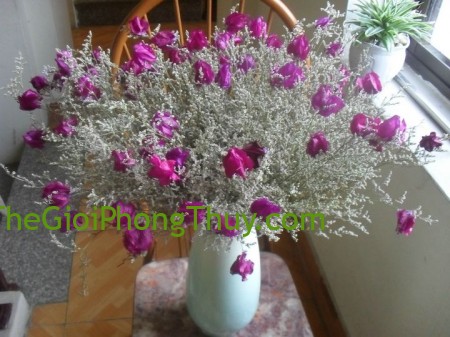 Bài trí hoa khô trong nhà nhớ những lưu ý này kẻo bị phá tài