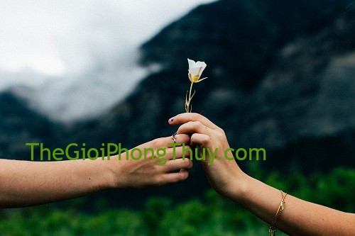Đây là 4 cung hoàng đạo không quan trọng nhan sắc người mình yêu