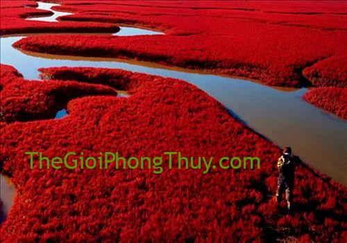 Cảnh báo: Màu sắc đại kỵ của từng cung hoàng đạo