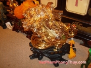 Một số hình ảnh Thế Giới Phong Thủy Tại hệ thống Cửa hàng VatPhamPhongThuy.com 20100111111727 vat pham so 098 Một số hình ảnh Thế Giới Phong Thủy Tại hệ thống Cửa hàng VatPhamPhongThuy.com