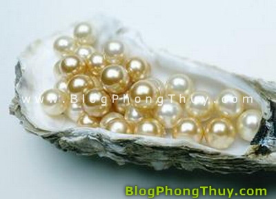 Nguồn gốc những loại ngọc phong thủy quý hiếm của Trung Hoa ngoc phong thuy 09 Nguồn gốc những loại ngọc phong thủy quý hiếm của Trung Hoa