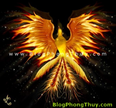 phuong hoang chim phung phong thuy Phượng Hoàng ( Chim Phụng )   loài chim của ngũ hành