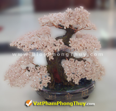 cay tai loc hn 05 19 kiểu Cây Tài Lộc chế tác từ đá phong thủy, vật phẩm trưng bày độc đáo