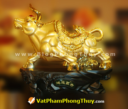 trau vang hong van cao thang b007 Trâu phong thủy, biểu tượng mang lại tài lộc dồi dào