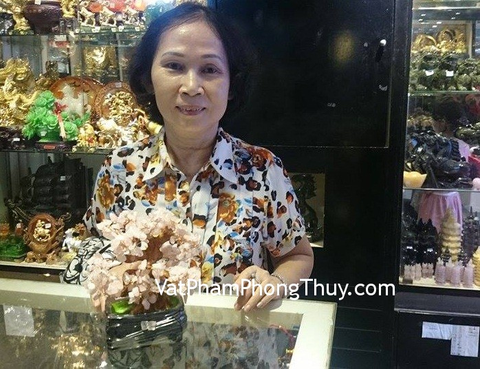 Cô Hường - Khách mua Cây tài lộc thạch anh hồng HCA266