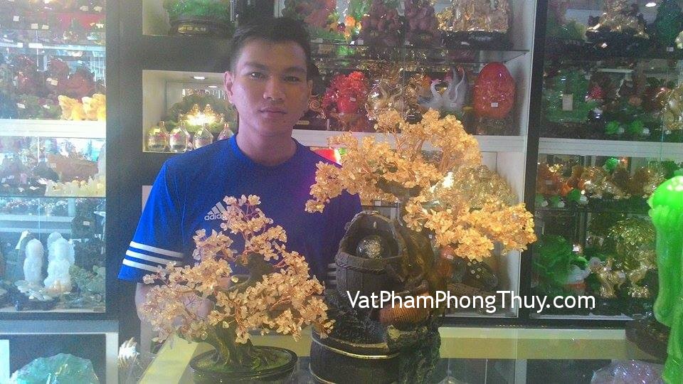 Anh Trụ - khách hàng mua cây tài lộc đá thạch anh vàng CA220 và cây tài lộc đá thạch anh hồng K157