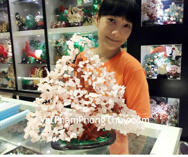 Chị Bằng - khách hàng mua cây tài lộc thạch anh hồng KC056