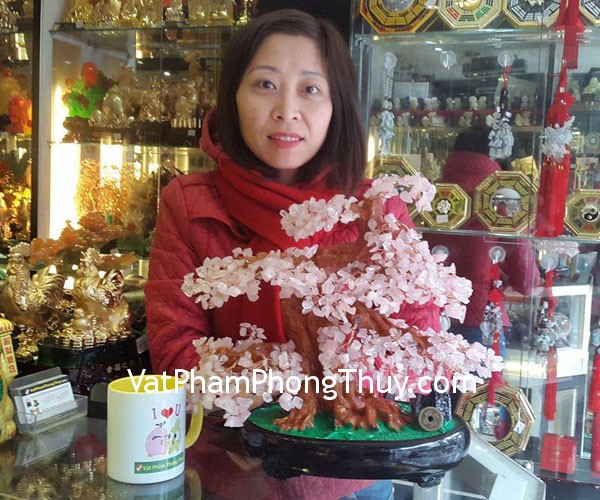 Chị Thảo- khách hàng mua cây tài lộc thạch hồng KC034