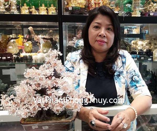 Chị Hương - Khách hàng mua cây tài lộc kiểu mới pháo hoa thạch anh trắng KC073