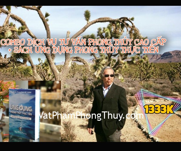 Combo Dịch Vụ Tư Vấn Phong Thủy Cao Cấp + Sách Ứng Dụng Phong Thủy Thực Tiễn 5STAR-SAV666-1